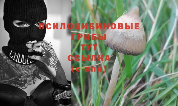 дурь Лиски